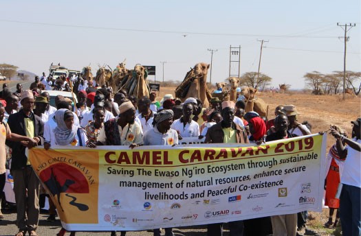 Pastoralists leading SCS Kenya Camel Caravan for Peace and Conservation (August 2019, FHI 360).